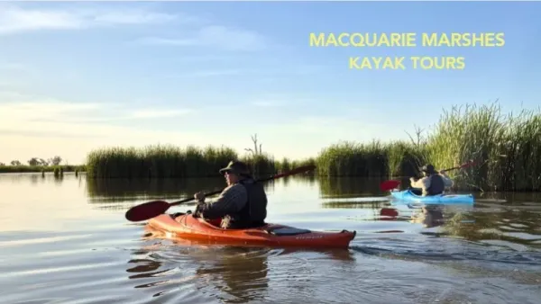 Macquarie Marshes Kayak Tour - Morning