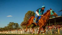 2026 Imperial Hotel Coonabarabran Cup