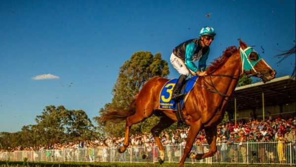 2026 Imperial Hotel Coonabarabran Cup