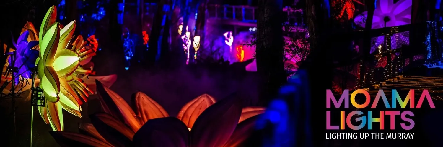 Moama Light Festival - 2024