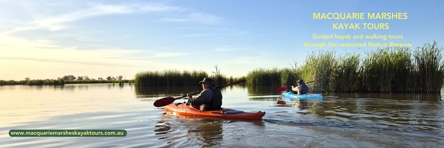 Macquarie Marshes Kayak Tours