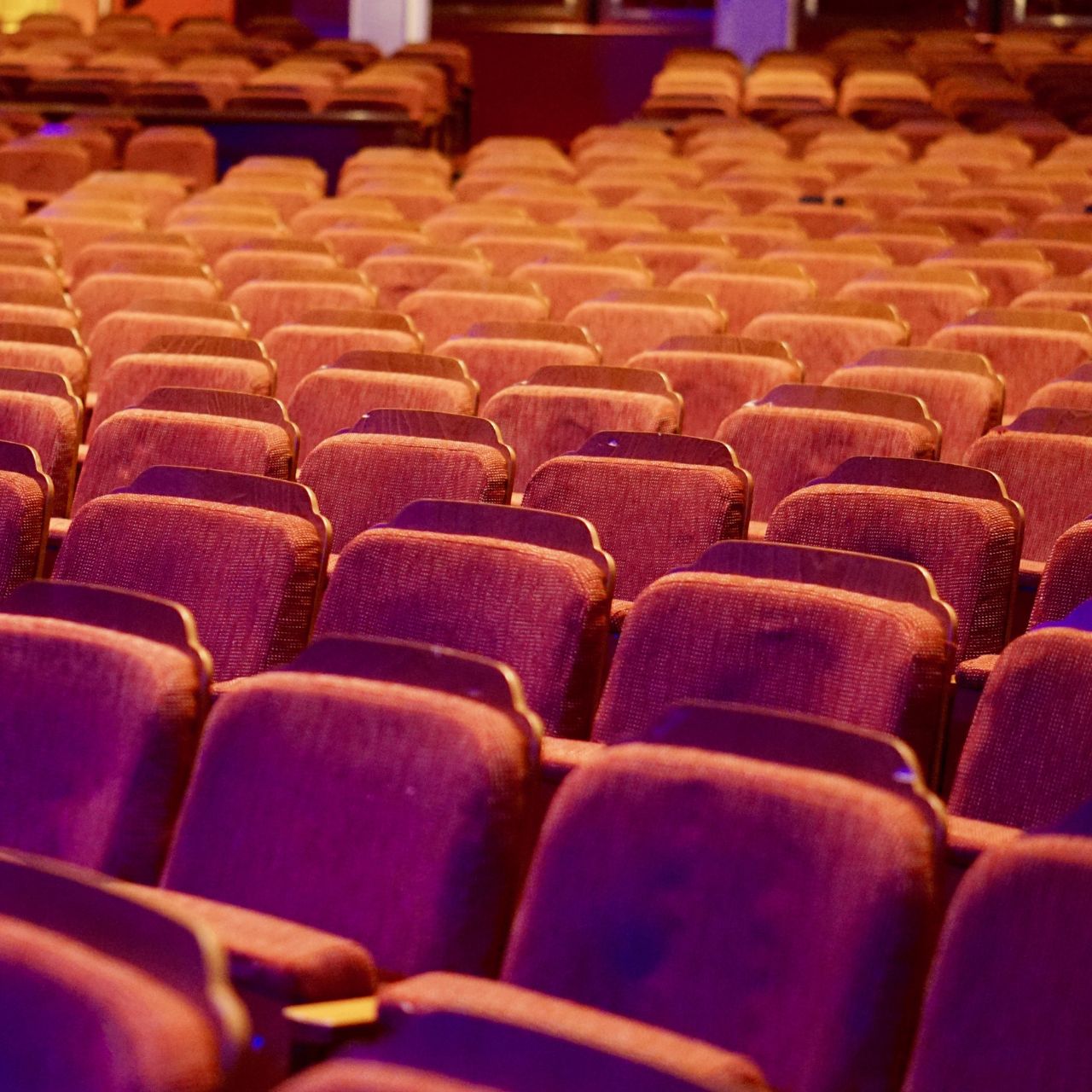 Rows of red theatre seats in an auditorium